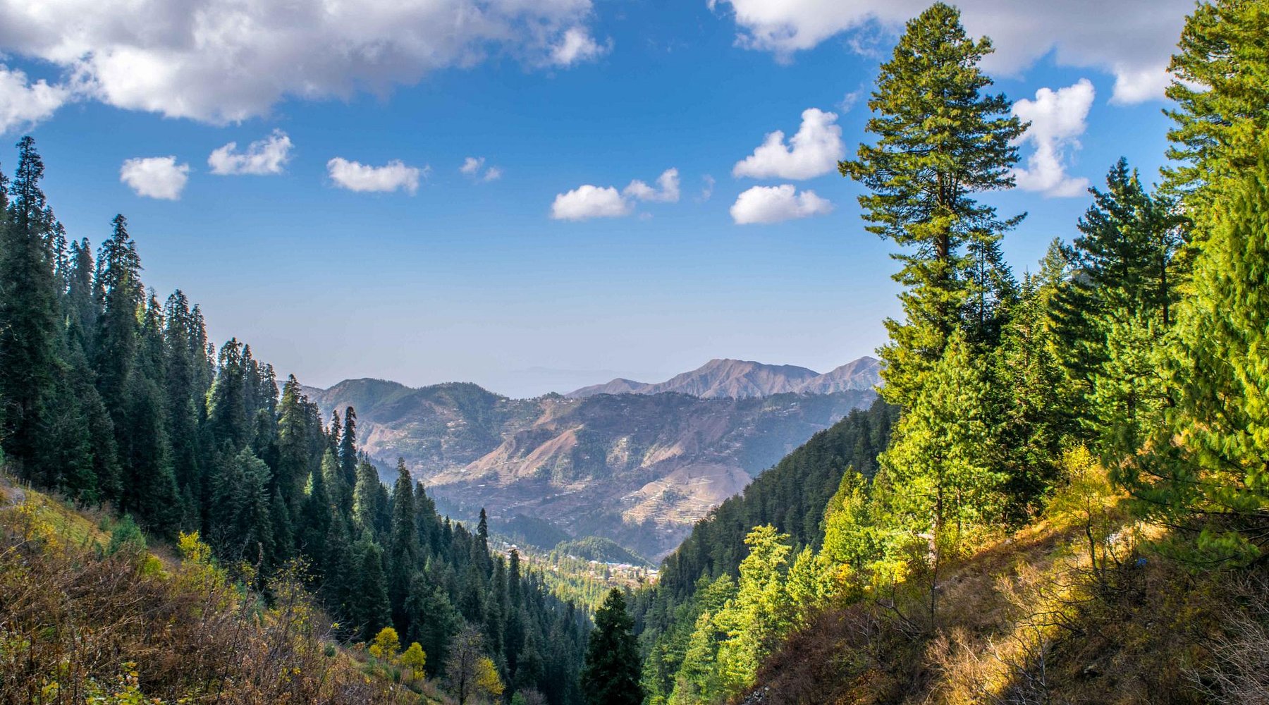 KPK