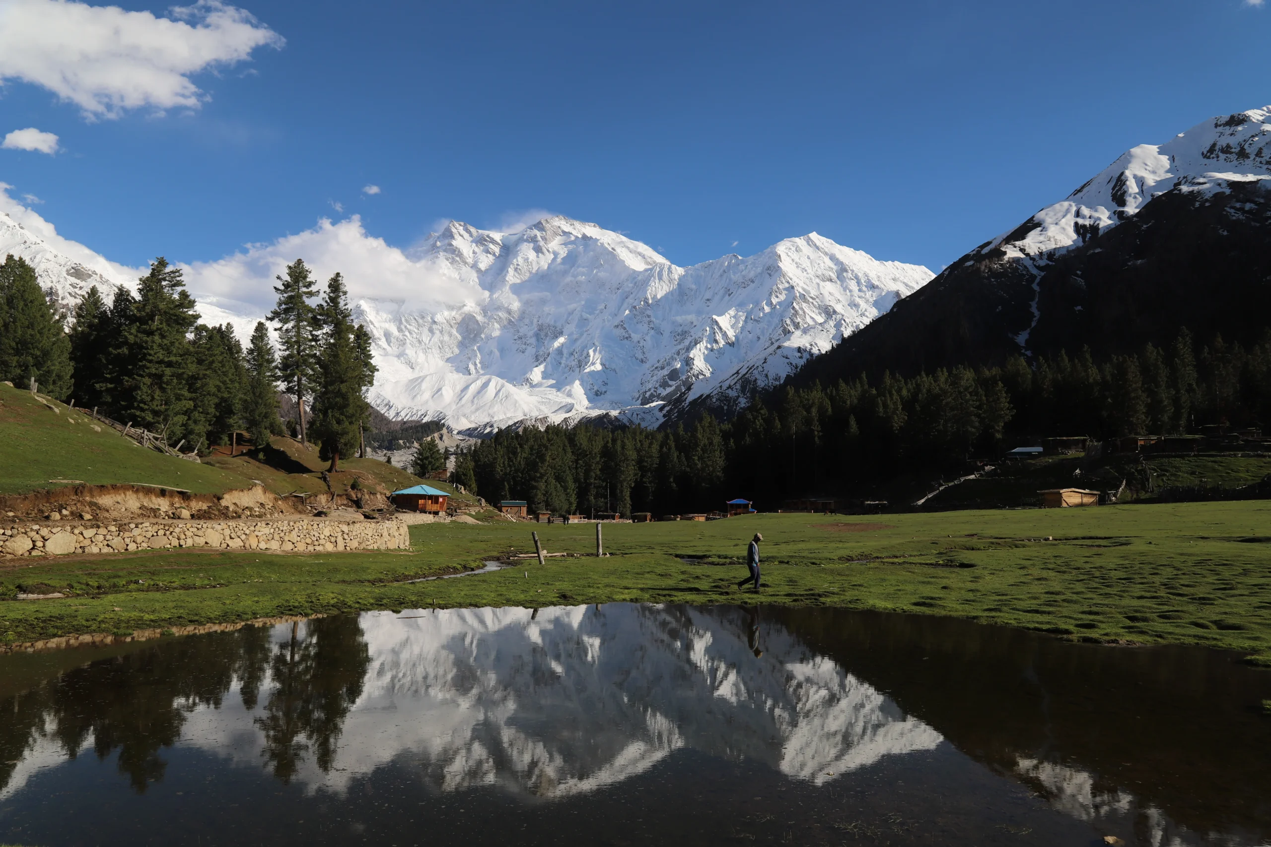 Fairy Meadows and Deosai Plains