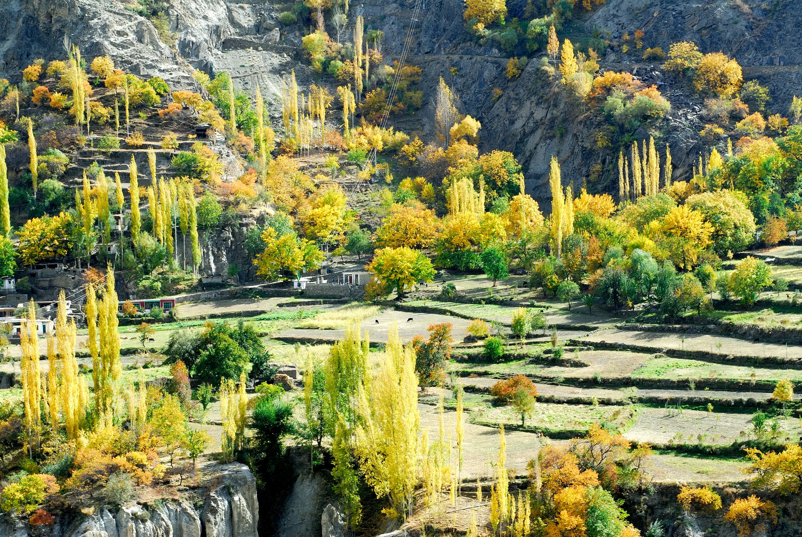 Explore The Season ( Autumn and Spring)